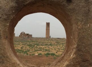 Türk ve İslâm Eserleri Müzesi Sergileri ve Katkıları